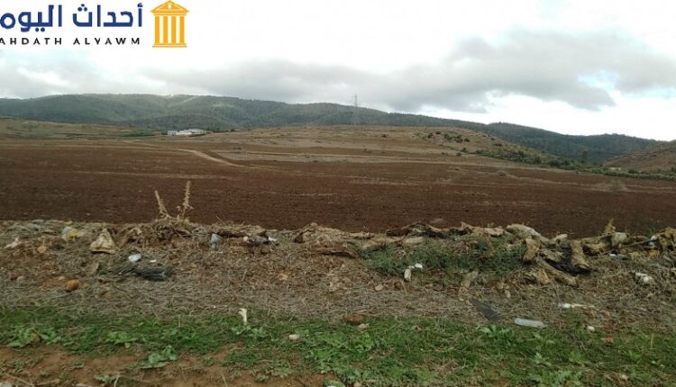 موسم زراعة الحبوب في تونس