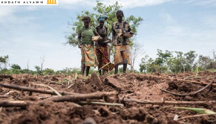 مزارعون يعملون في جمهورية إفريقيا الوسطى حيث يعاني نصف السكان من الجوع.