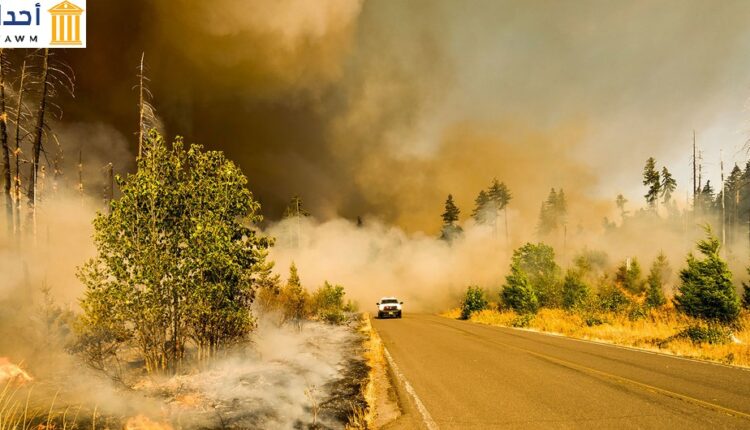 حريق هائل في إحدى الحدائق الوطنية في ولاية أوريغون، الولايات المتحدة الأمريكية.