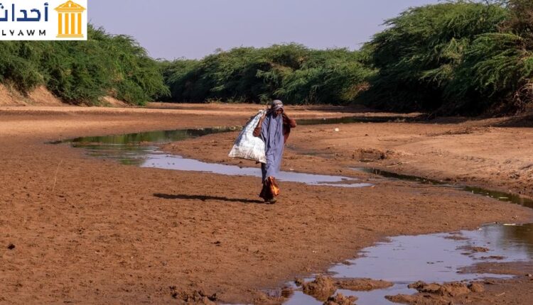 امرأة تبحث عن حطب الوقود على طول مجرى نهر دولو الجاف، الصومال.