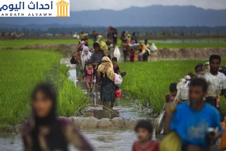 أشخاص من الروهينغا يمشون عبر حقول الأرز بعد هروبهم عبر الحدود من ميانمار إلى بنغلاديش بالقرب من تنكاف