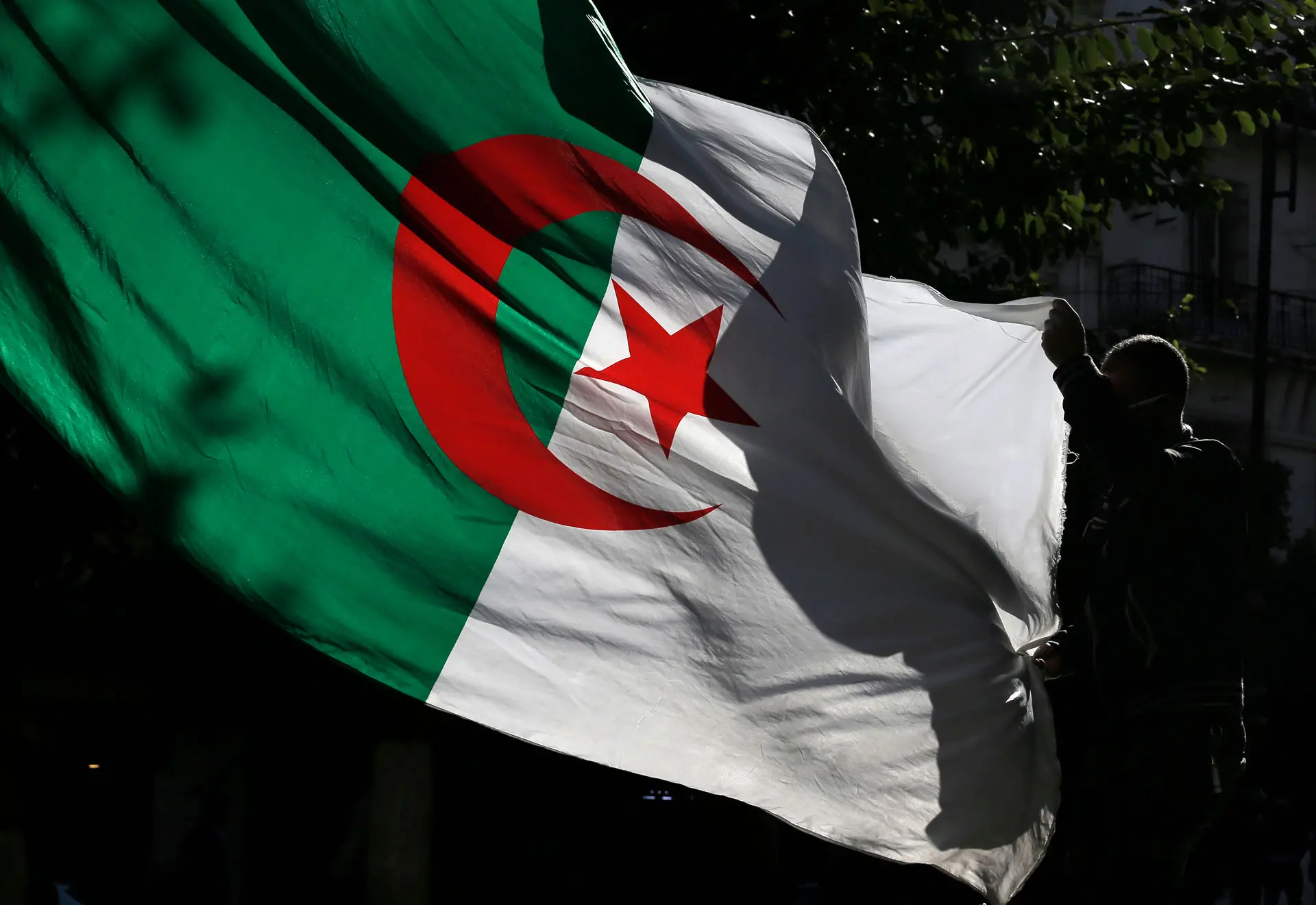 متظاهر جزائري يحمل العلم الوطني في مظاهرة ضد الحكومة في الجزائر العاصمة