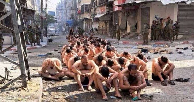 شهادات جديدة