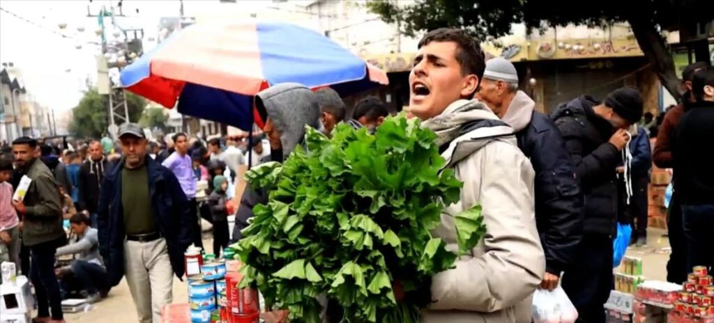 كان أحمد فياض طالب صيدلة وهو الآن يبيع الخبيزة في دير البلح بعد تهجيره من خان يونس جنوب قطاع غزة