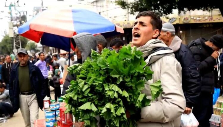 كان أحمد فياض طالب صيدلة وهو الآن يبيع الخبيزة في دير البلح بعد تهجيره من خان يونس جنوب قطاع غزة