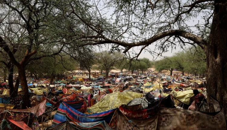 المدنيين السودانيين