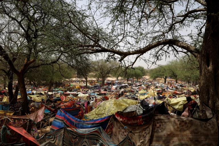 202410afr sudan chad displacement conflict 1