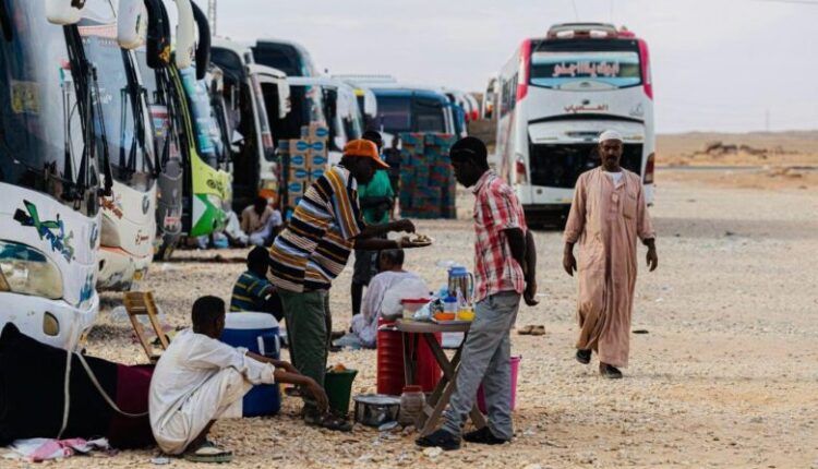 قانون اللجوء مصر