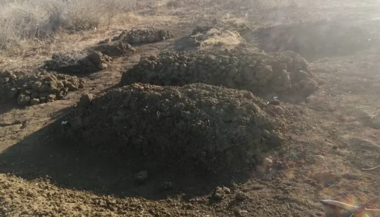 ضحايا السودان