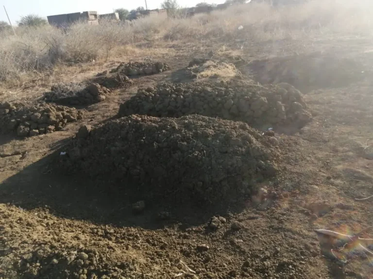022025CCA Sudan ShieldForces