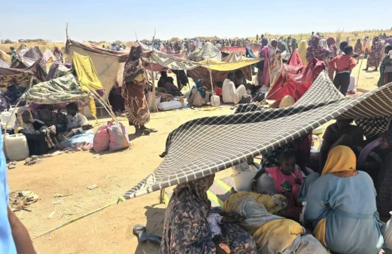 RF1466860