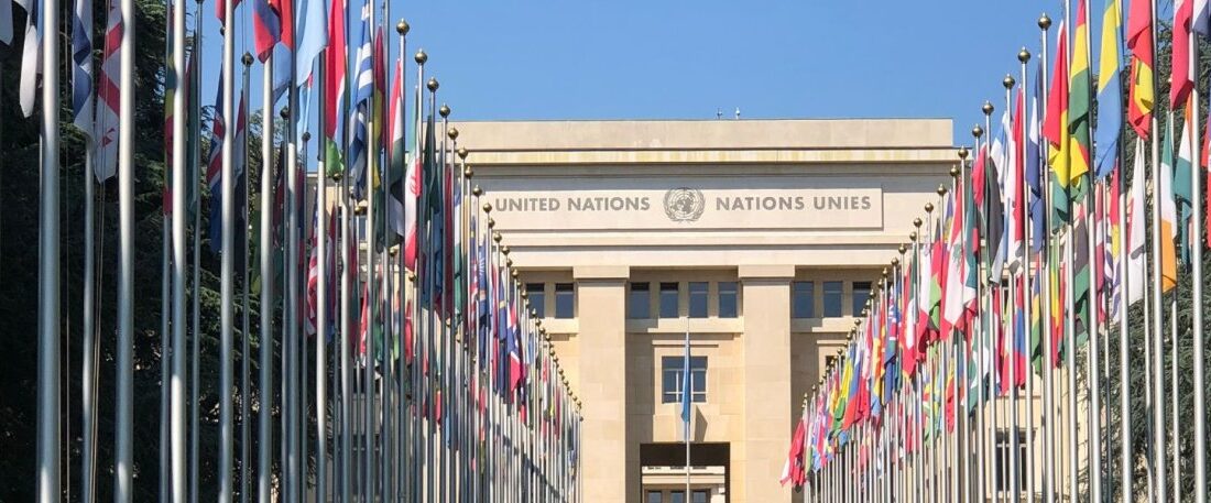 un fidh no logo 25 1caa1