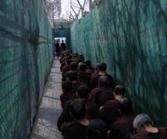 202609mena iraq is detainees