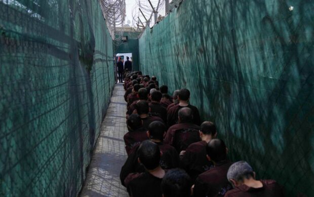 202609mena iraq is detainees